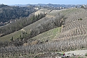 VBS_1139 - Santo Stefano Roero